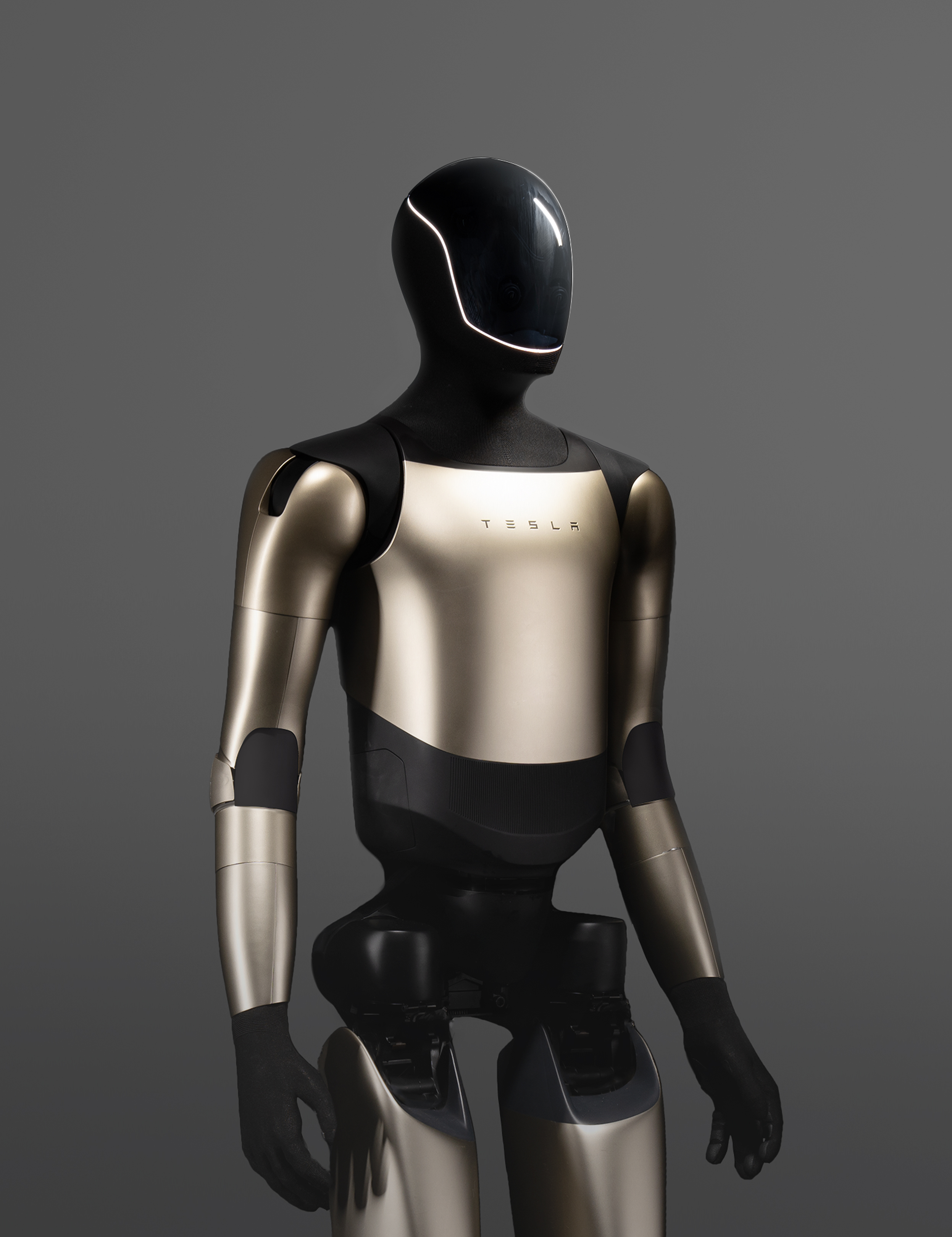 Tesla Optimus humanoid robot, upper body, with visible Tesla logo on chest